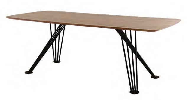 Tisch